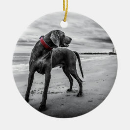 赤いつばが付いているビーチB&Wの写真のWeimaraner セラミックオーナメント