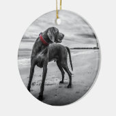 赤いつばが付いているビーチB&Wの写真のWeimaraner セラミックオーナメント (左)