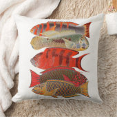 赤いですかオレンジオウムの魚、白い装飾用クッション クッション (ブランケット)