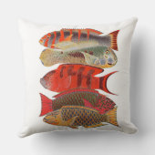 赤いですかオレンジオウムの魚、白い装飾用クッション クッション (裏面)