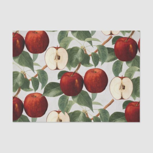 赤いりんごのヴィンテージの植物の水彩画 薄葉紙 (正面)