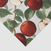 赤いりんごのヴィンテージの植物の水彩画 薄葉紙 (詳細)