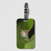 赤いアイドガウディカエルラゲッジタグ ラゲッジタグ (正面縦)