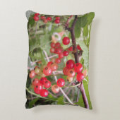 赤いアクセント枕 アクセントクッション (裏面(縦))