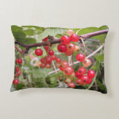 赤いアクセント枕 アクセントクッション (裏面)