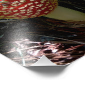 赤いアマニタムスカラタケを探索するカタツムリ フォトプリント            (角)