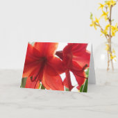 赤いアマリリスのクローズアップ カード (黄色い花)