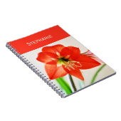 赤いアマリリスの花 ノートブック (右側)