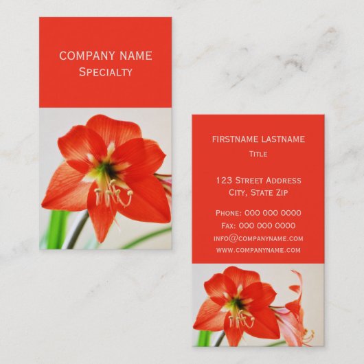 赤いアマリリスの花 名刺 (正面/裏面)