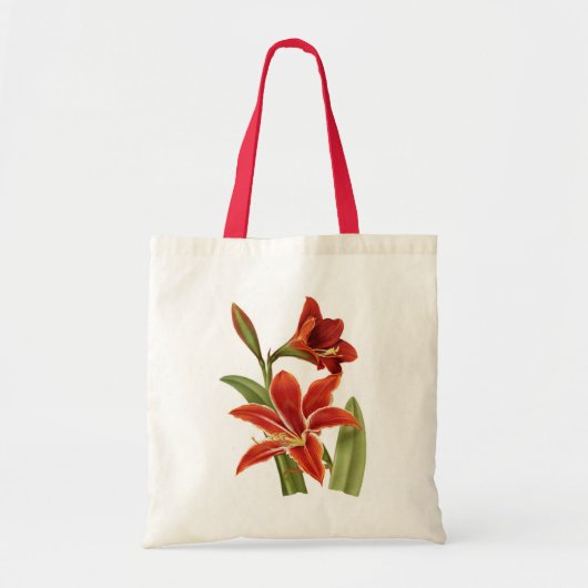赤いアマリリス植物画 トートバッグ (正面)