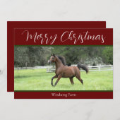 赤いアラビアの馬1の写真のファームクリスマス シーズンカード (正面/裏面)
