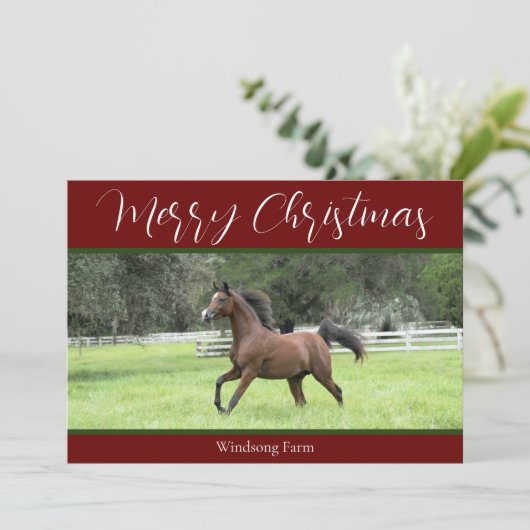 赤いアラビアの馬1の写真のファームクリスマス シーズンカード (スタンド正面)