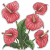赤いアンスリウムの花と緑の葉 シール (正面)