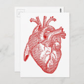 赤いアンティークの解剖学的心臓 ポストカード (正面/裏面)