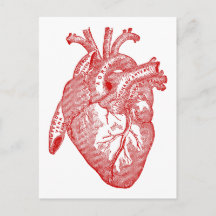 赤いアンティークの解剖学的心臓