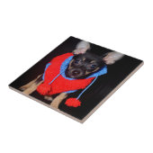 赤いウールのセーターを着た可愛い子犬 タイル (側面)