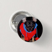 赤いウールのセーターを着た可愛い子犬 缶バッジ (正面&裏面)