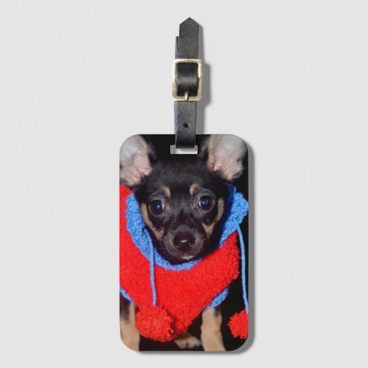 赤いウールセーターを着たかわいい子犬 ラゲッジタグ (正面縦)