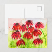 赤いエキナセアの花の水彩画ボタニカルアート シーズンポストカード (正面/裏面)