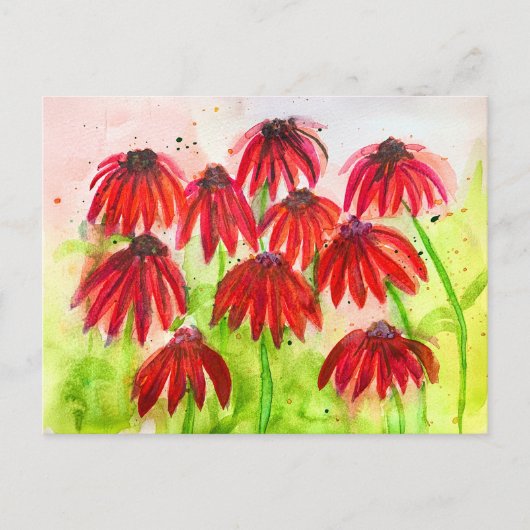 赤いエキナセアの花の水彩画ボタニカルアート シーズンポストカード (正面)