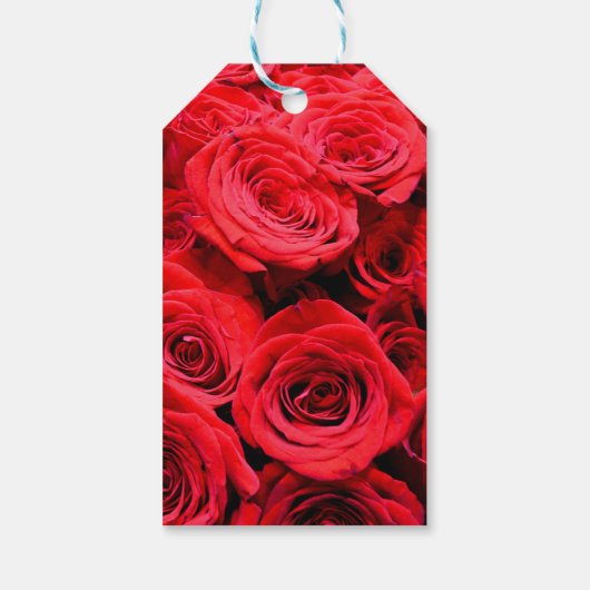 赤いエレガントバラ赤い花フローラ ギフトタグ (裏面)