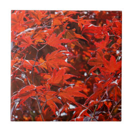 赤いエレガントメ日本のエデ葉ル タイル