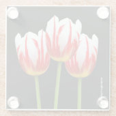 赤いエレガント白カエデの葉チューリップ ガラスコースター (裏面)