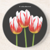 赤いエレガント白カエデの葉チューリップ コースター (正面)