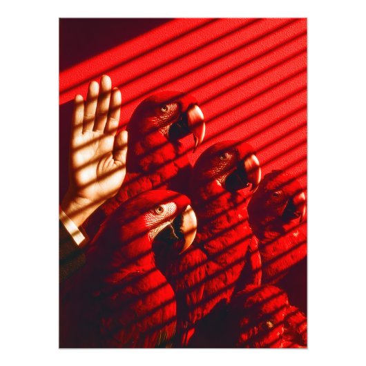 赤いオウムと手 フォトプリント            (正面)