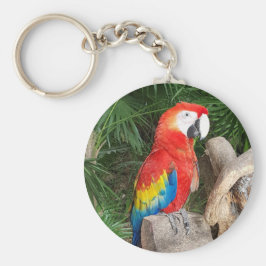 赤いオウムのキーリング キーホルダー