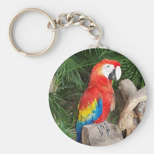 赤いオウムのキーリング キーホルダー (正面)