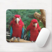 赤いオウム マウスパッド (マウス)