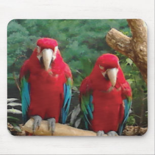赤いオウム マウスパッド