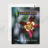 赤いオダマキ（植物）-ヴィンテージスタイル ポストカード (正面/裏面)