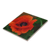 赤いオニゲシ タイル (側面)