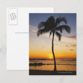 赤いオレンジ色の夕焼けによるヤシの木のシルエット ポストカード (正面/裏面)