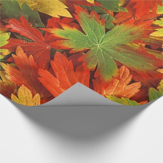 赤いオレンジ金ゴールド及び緑の秋の風車の葉 ラッピングペーパー (角)