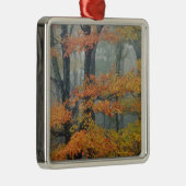 赤いカエデの木、エイサー·ルブラム、霧の中のポートレート メタルオーナメント (右)
