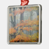 赤いカエデの木、エイサー·ルブラム、霧の中のポートレート メタルオーナメント (左)
