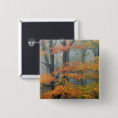 赤いカエデの木、エイサー·ルブラム、霧の中のポートレート 缶バッジ (正面&裏面)