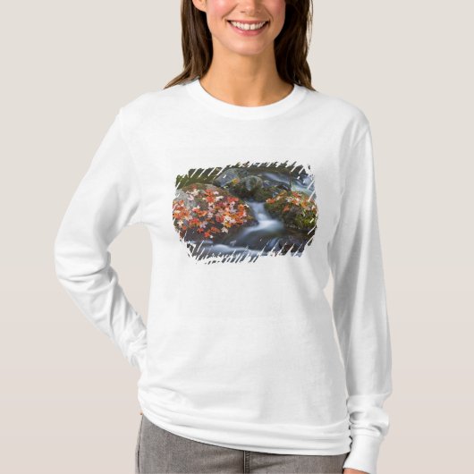 赤いカエデの葉が岩の上を覆っている Tシャツ (正面)