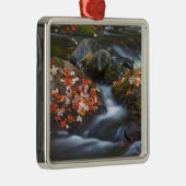 赤いカエデ葉のが メタルオーナメント (右)