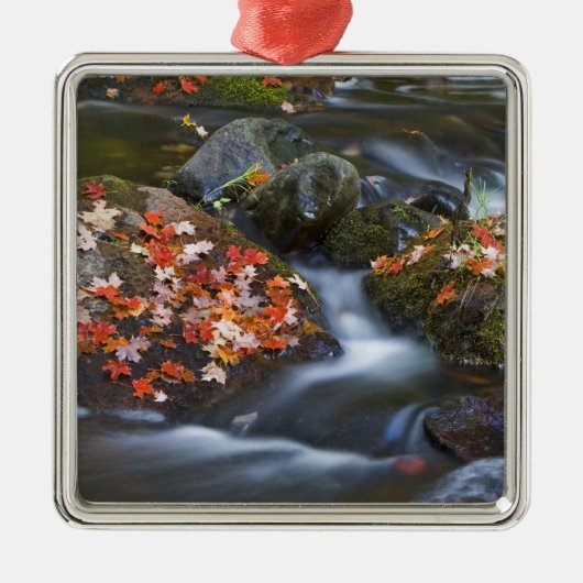 赤いカエデ葉のが メタルオーナメント (正面)