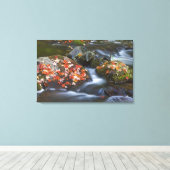 赤いカエデ葉のは岩をカーペットで覆う キャンバスプリント (インサイチュ (ウッドフロア))