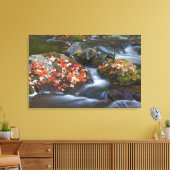 赤いカエデ葉のは岩をカーペットで覆う キャンバスプリント (インサイチュ (リビング))