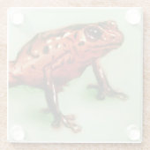 赤いカエルのガラスコアスター、野獣スケッチ ガラスコースター (裏面)