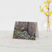 「赤いカシおよびオランダ人男性の砲尾」のメッセージカードのプリント カード (黄色い花)