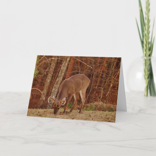 赤いカシのカムフラージュの雄鹿の木びき台のシカの食べ物を与えること シーズンカード (正面)