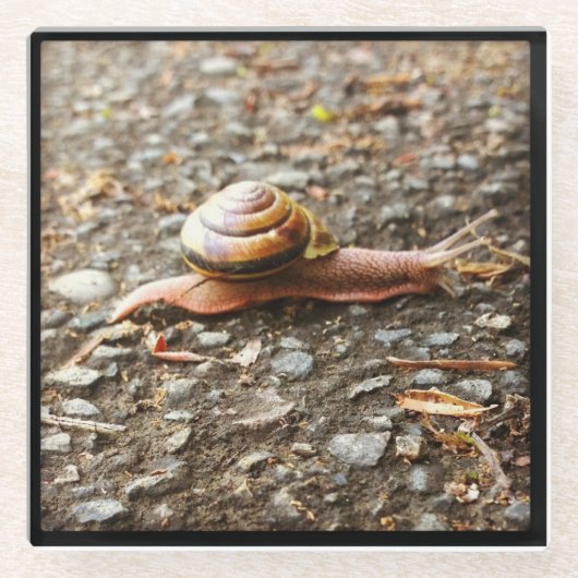 赤いカタツムリ ガラスコースター (正面)