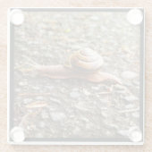 赤いカタツムリ ガラスコースター (裏面)